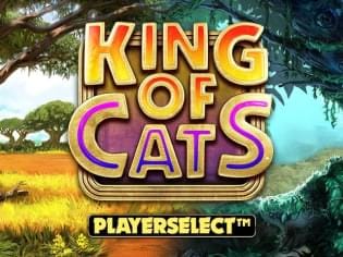 King of Cats Megaways