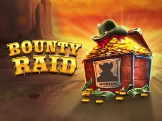 Bounty Raid screenshot